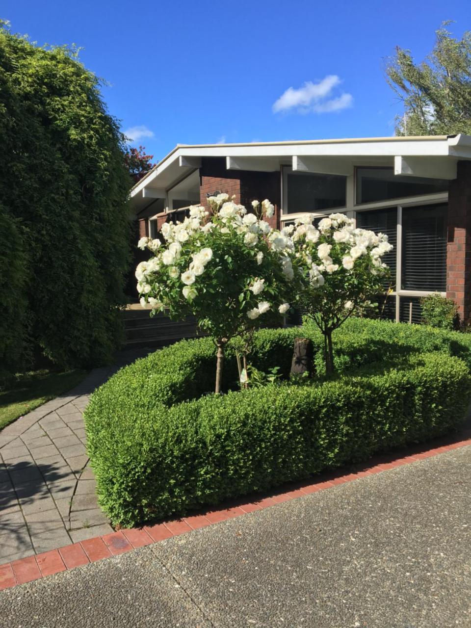Quiet Boutique Generous Breakfast Hotel Palmerston North Eksteriør billede